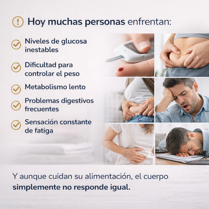 Detalle de las cápsulas vegetales de Berberina de Smart Nutrition