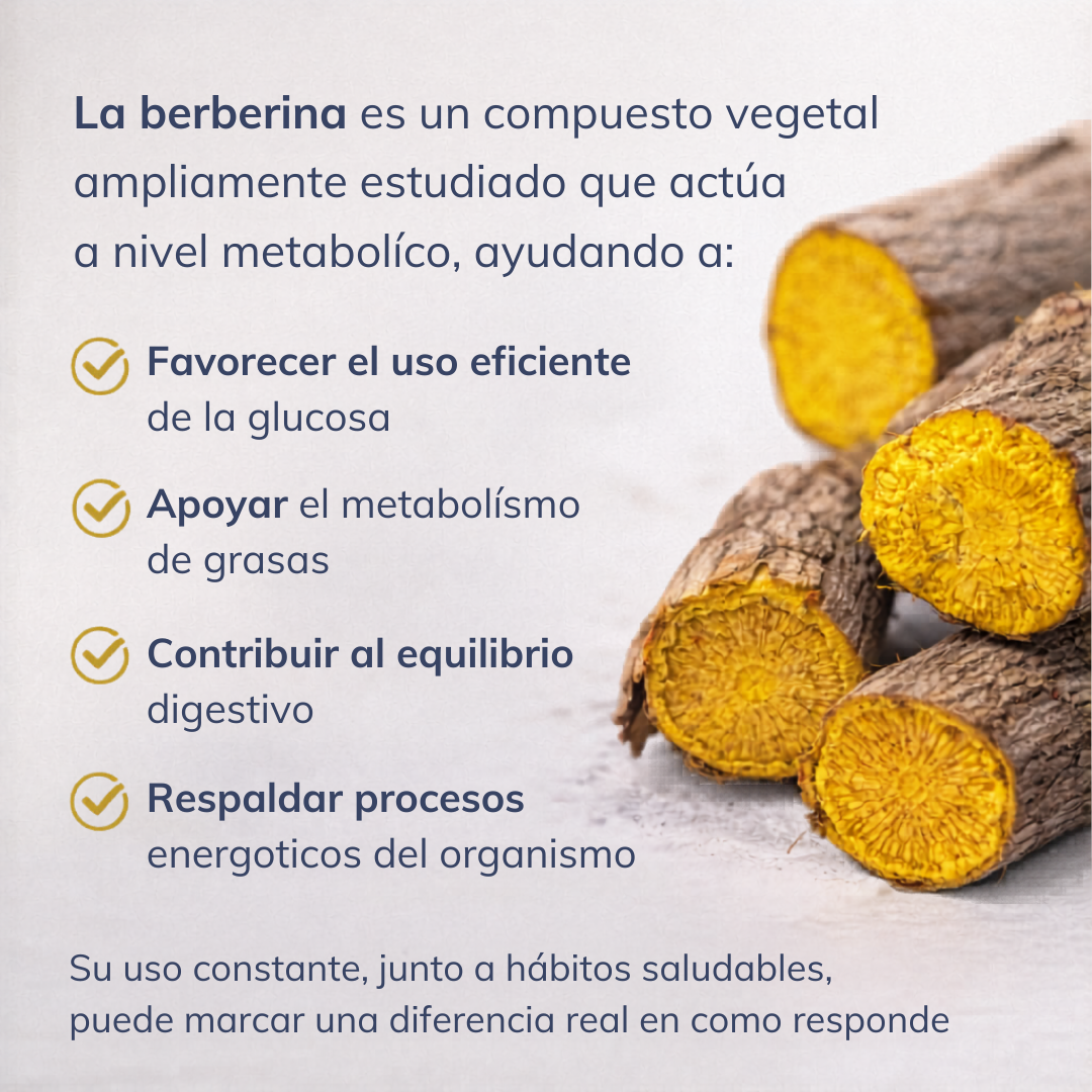 Etiqueta con información nutricional e instrucciones de uso de Berberina Smart Nutrition